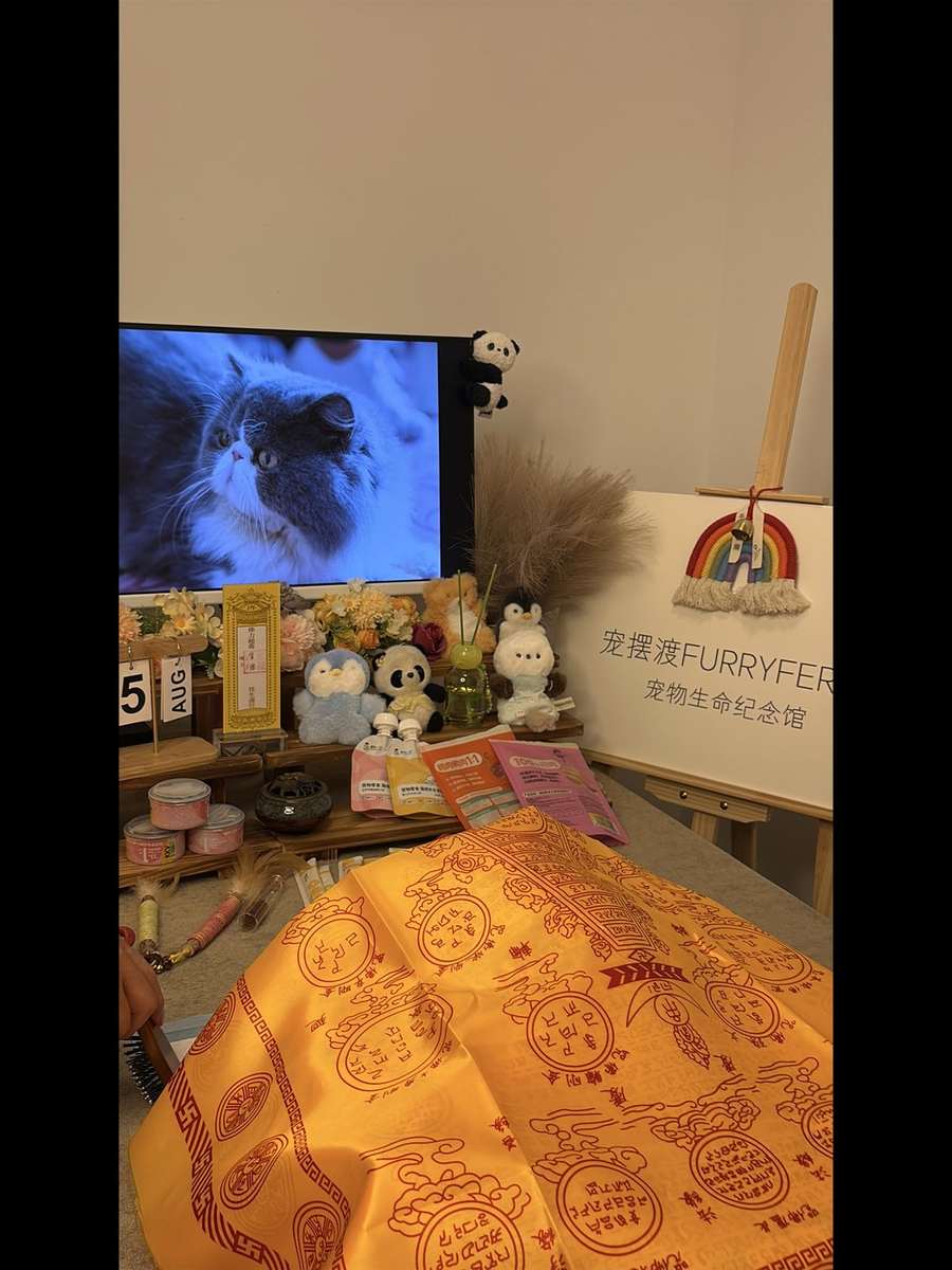 宠物告别仪式